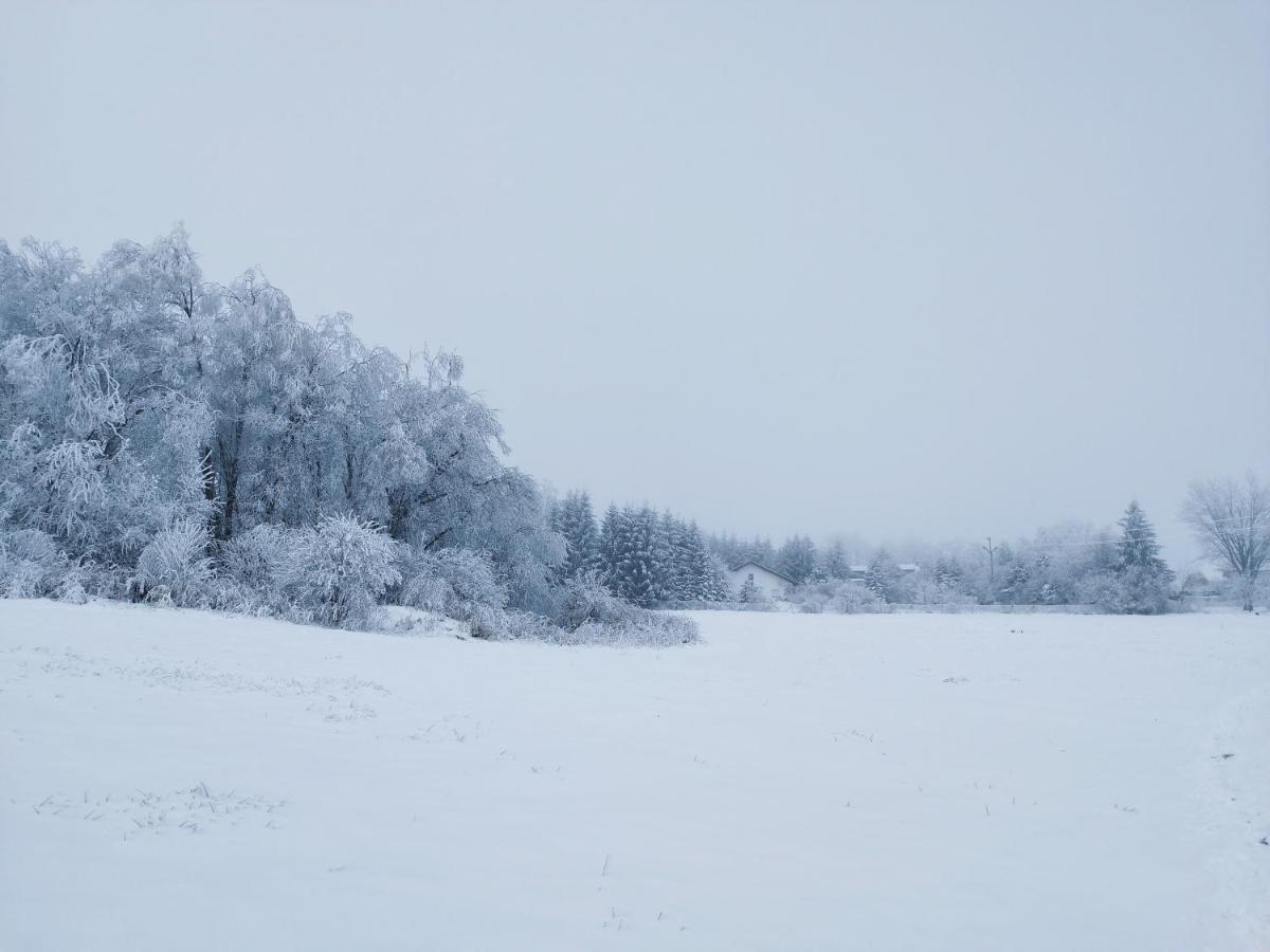 Penzion U Zpevaku Nove Hute Buitenkant foto