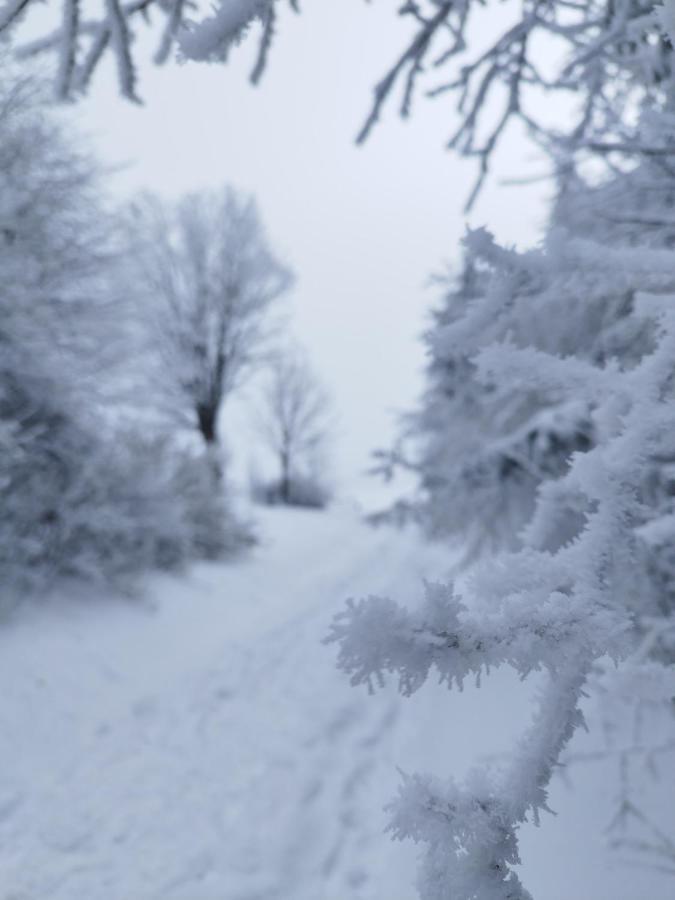 Penzion U Zpevaku Nove Hute Buitenkant foto