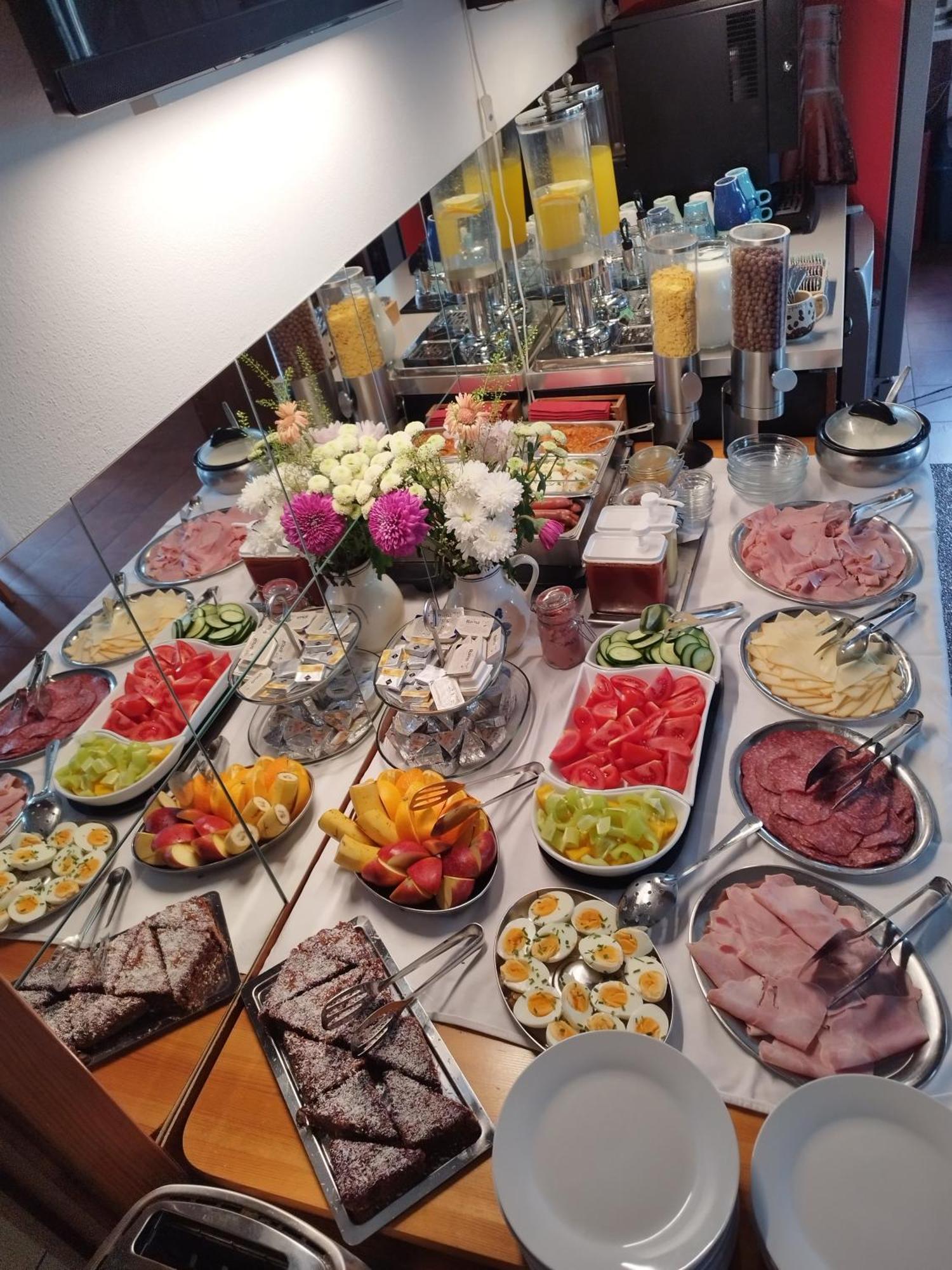Penzion U Zpevaku Nove Hute Buitenkant foto